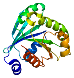 Protein ARF6 PDB 1e0s.png