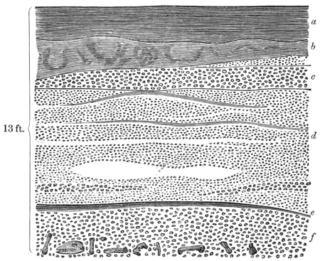 Quarterly Journal of the Geological Society of London, vol. 28 june 19 no. 2 fig. 6.png