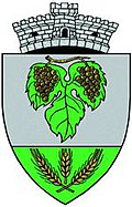 Wappen von Papiu Ilarian (Mureș)
