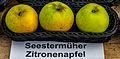 Seestermüher Zitronenapfel