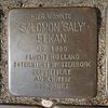 Stolperstein für Salomon Elkan