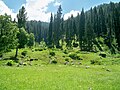 On the way to shahi bagh Lake Swat valley