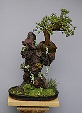 Bonsai with ceramic figurines.