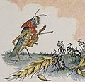 A formiga e a cigarra, ilustración de Milo Winter de 1919, Antoloxía de Esopo.