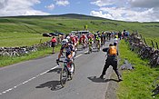 Peleton (chif bagas an diwrosoryon) an Tour de France yn Konteth Evrek yn 2014