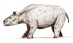 Miniatura para Toxodon