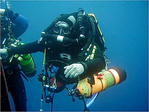 Reef- And Wreck-diving