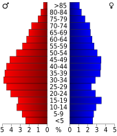 Bevolkingspiramide Brunswick County