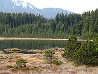 77. Platz: Gras-Ober mit Naturschutzgebiet Wildseefilz