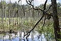 Naturreservat Grüner Bogen