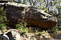 Formation known as Whale Rock outside Cheltenham