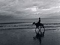 A horseman roaming on Kuakata beach