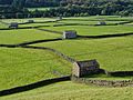 18. Rétek és kőfalak Swaledale-ben, Gunnerside közelében (North Yorkshire, Anglia) (javítás)/(csere)