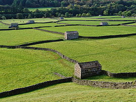 Prés clos de murets de pierres sèches, dans le Yorkshire du Nord. (définition réelle 4 608 × 3 456)