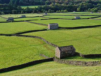 Campos e muros de pedra solta em Swaledale perto de Gunnerside, North Yorkshire, Inglaterra (definição 4 608 × 3 456)