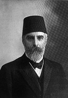 Ahmet Riza Bey.jpg