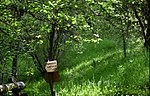 Vignette pour Parc arboretum de Saint-Setiers