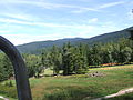 View from the cable car to the downhill ski area in the summer