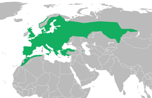 Utbreiinga av nordpadde