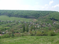 Skyline of Капушнени