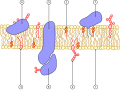 תמונה ממוזערת לגרסה מ־20:46, 4 בדצמבר 2006