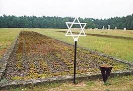 Fosse commune du camp d'extermination de Chełmno en Pologne (un article de qualité de la Wikipédia en français).