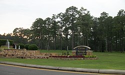 Skyline of Citrus Springs