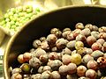 Ripe concord grapes (near) and unripe concord grapes (far). Unripe grapes can be made into verjuice.