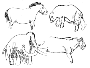 Cheval, ours des cavernes, mammouth, lion des cavernes