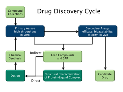Drug discovery cycle highlighting both ligand-based (indirect) and structure-based (direct) drug design strategies. Drug discovery cycle 2.png