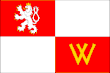 Vlag