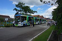 Fleet of Trans Palangka Raya bus