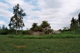 Borek (Kozienice)