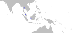 Range of the white-edge freshwater whipray