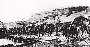 Многие полностью загруженные верблюды переходят мост, построенный на лодках с квадратным концом; крутые горы на заднем плане