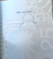 An image of an Italian passport with "VISTI/VISAS/VISAS" in bold. The passport number has been blurred to protect the individual's identity.
