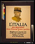 L'Italia ha bisogno di carne 1917, Description