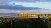 Miniatura para Parque nacional Neusiedler See-Seewinkel