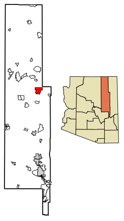 Location of Whitecone in Navajo County, Arizona.