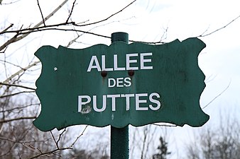 Plaque de rue de l'allée des Buttes (Bois de Vincennes), vandalisée ici en « allée des Puttes ».Ce modèle de plaque de rue est utilisé par la Ville de Paris dans les espaces verts.
