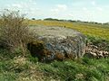 Pelėkių mitologinis akmuo, 2007 m.