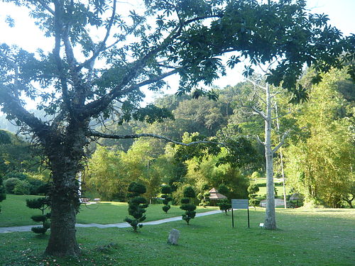 Penang Botanic Gardens things to do in Penang