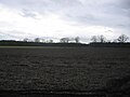 Ruhland, verlängerte Wiesenstraße vor dem Blumengraben, Blick nach Westsüdwest, Winter; im Bick die Linden an der Hermsdorfer Straße; An der Hermsdorfer Straße (Flurname), früher zu Im Dernauken (alter Flurname)