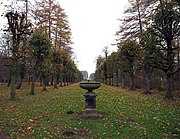 Allee in het slotpark van Bückeburg