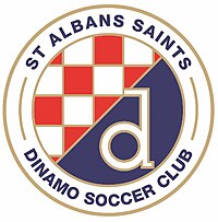 St Albans Saints Dinamo logo.jpg