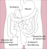 Stomach colon rectum diagram-da.svg