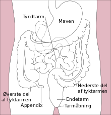 Stomach colon rectum diagram-da.svg