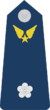 Thiếu Tá-Airforce 1.png