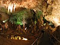 カールズバッド洞窟群国立公園のサムネイル