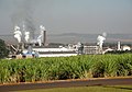 Paisaje industrial en Brasil (fábrica de etanol y azúcar en Pradópolis).[15]​